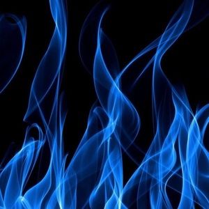 Meet your Posher, Meechi